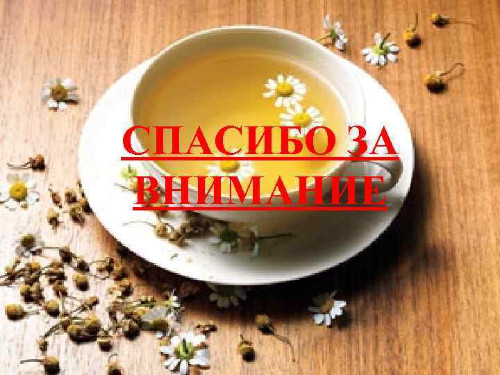 СПАСИБО ЗА ВНИМАНИЕ 