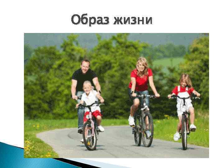 Образ жизни 