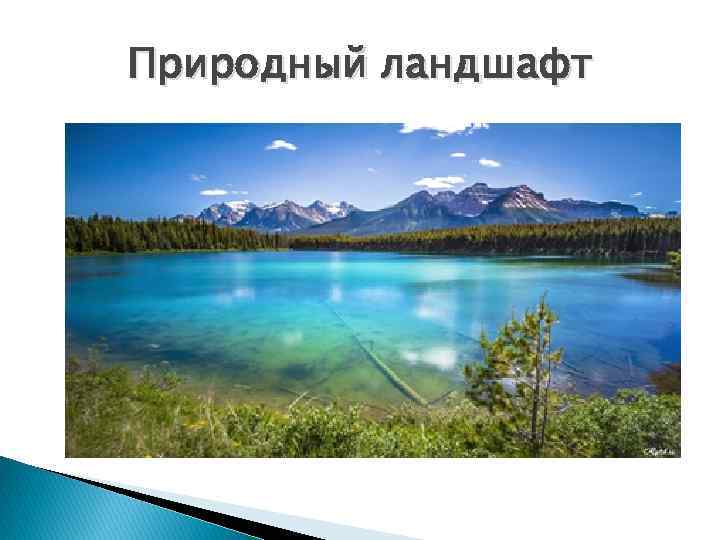 Природный ландшафт 