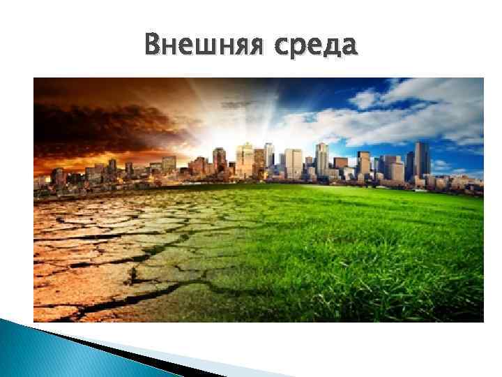Внешняя среда 
