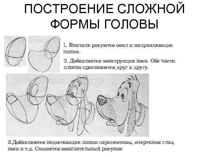 ПОСТРОЕНИЕ СЛОЖНОЙ ФОРМЫ ГОЛОВЫ 1. Вначале рисуются овал и направляющие линии. 2. Добавляется конструкция