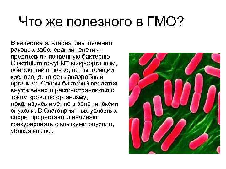 Что же полезного в ГМО? В качестве альтернативы лечения раковых заболеваний генетики предложили почвенную