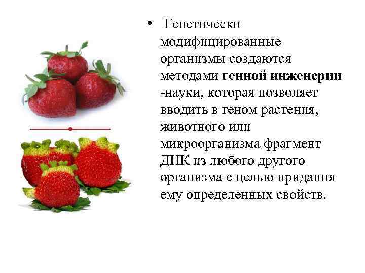  • Генетически модифицированные организмы создаются методами генной инженерии -науки, которая позволяет вводить в