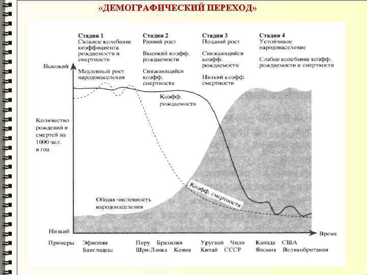  «ДЕМОГРАФИЧЕСКИЙ ПЕРЕХОД» 
