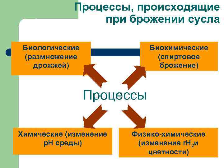 Процессы происходящие при замесе теста и его брожении