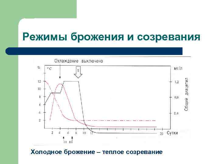 Режимы брожения и созревания Холодное брожение – теплое созревание 