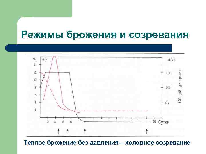 Режимы брожения и созревания Теплое брожение без давления – холодное созревание 