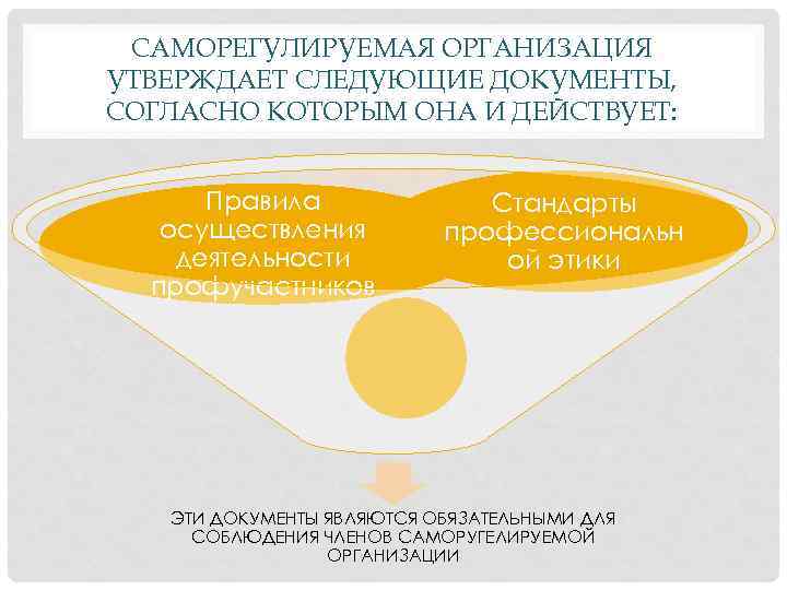 САМОРЕГУЛИРУЕМАЯ ОРГАНИЗАЦИЯ УТВЕРЖДАЕТ СЛЕДУЮЩИЕ ДОКУМЕНТЫ, СОГЛАСНО КОТОРЫМ ОНА И ДЕЙСТВУЕТ: Правила осуществления деятельности профучастников