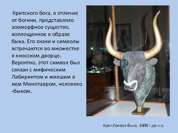 Критского бога, в отличие от богини, представляло зооморфное существо, воплощенное в образе быка. Его