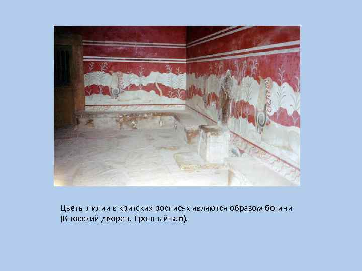 Цветы лилии в критских росписях являются образом богини (Кносский дворец. Тронный зал). 