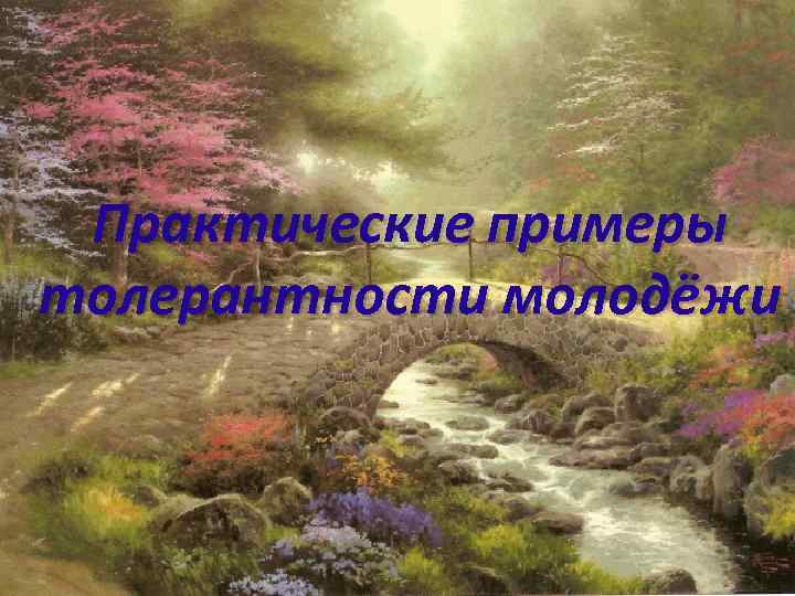 Практические примеры толерантности молодёжи 