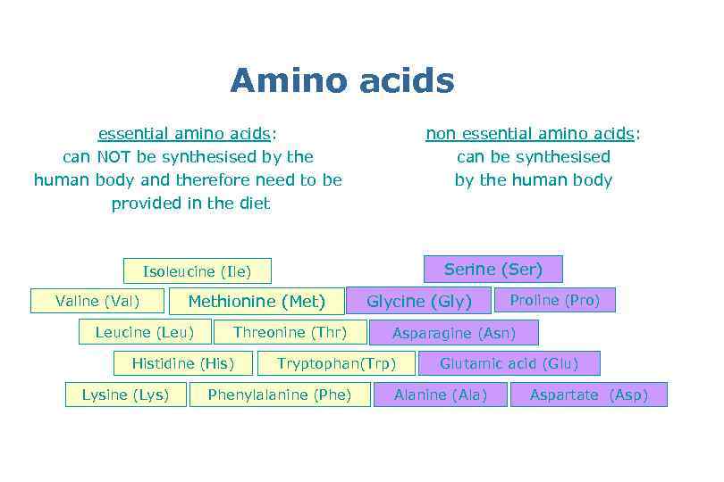 Amino acids essential amino acids: can NOT be synthesised by the human body and