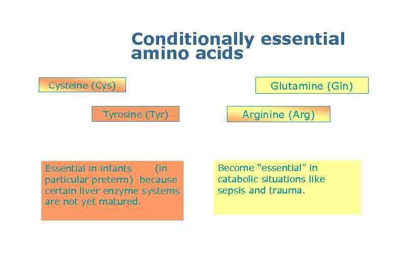 Conditionally essential amino acids Cysteine (Cys) Tyrosine (Tyr) Essential in infants (in particular preterm)