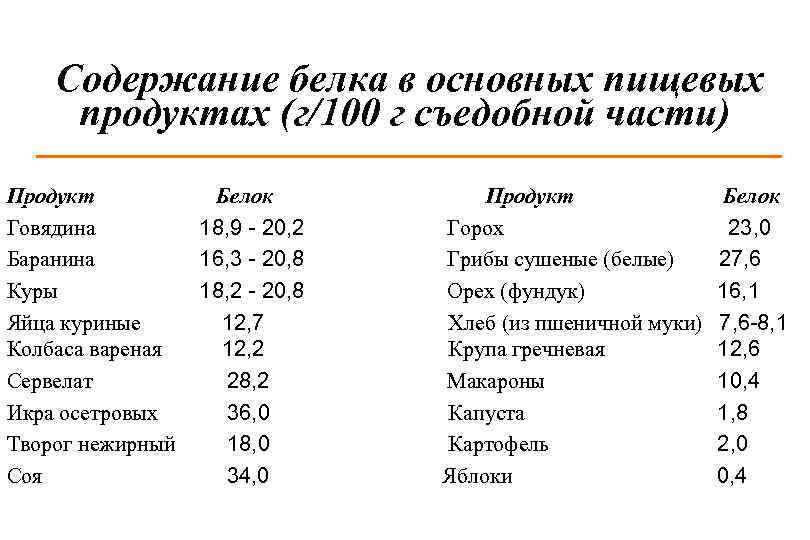 Белок в продуктах таблица