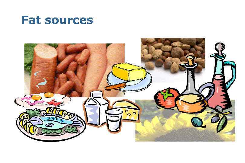 Fat sources 