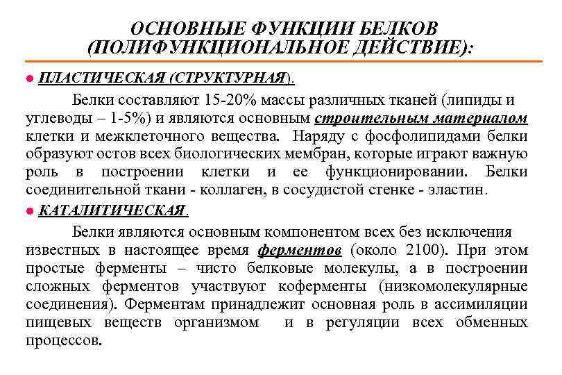 ОСНОВНЫЕ ФУНКЦИИ БЕЛКОВ (ПОЛИФУНКЦИОНАЛЬНОЕ ДЕЙСТВИЕ): l ПЛАСТИЧЕСКАЯ (СТРУКТУРНАЯ). Белки составляют 15 -20% массы различных