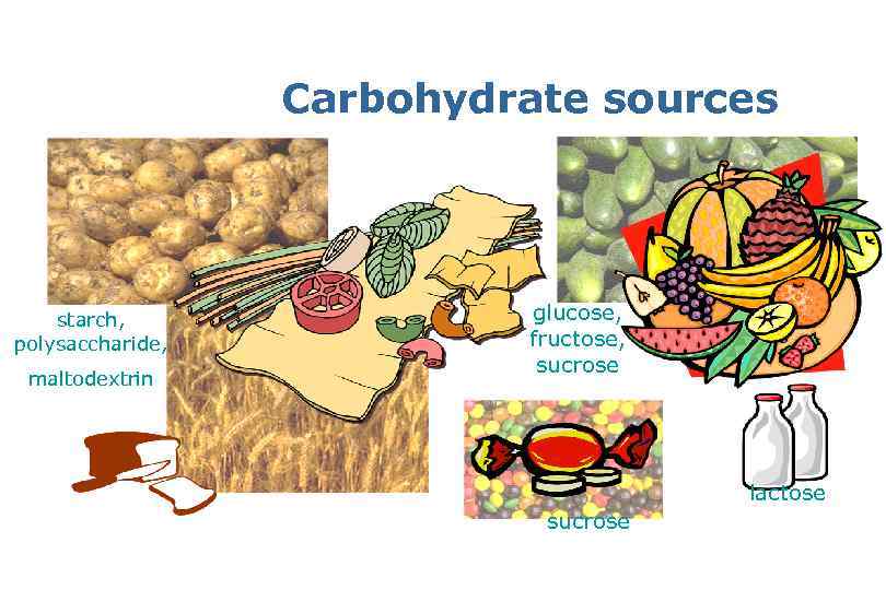 Carbohydrate sources starch, polysaccharide, maltodextrin glucose, fructose, sucrose lactose sucrose 