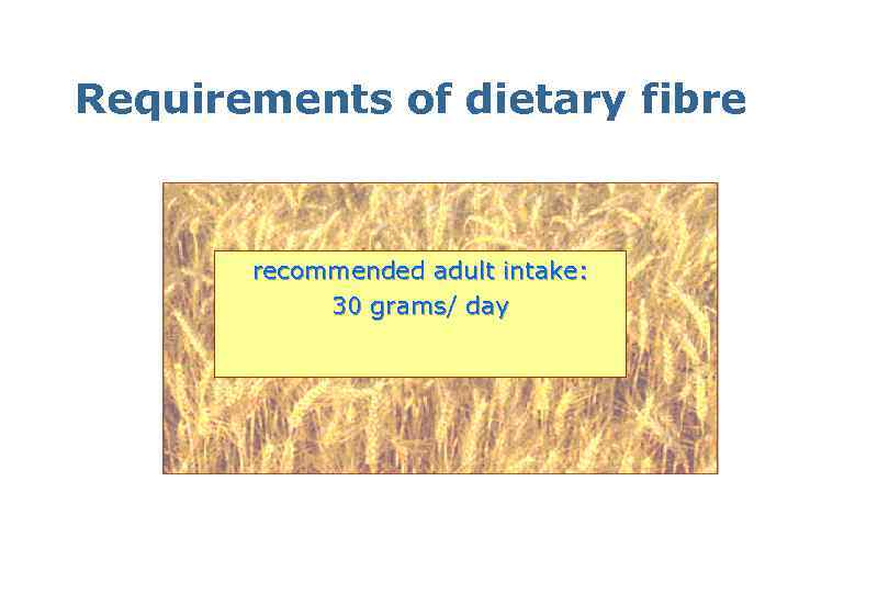Requirements of dietary fibre recommended adult intake: 30 grams/ day 
