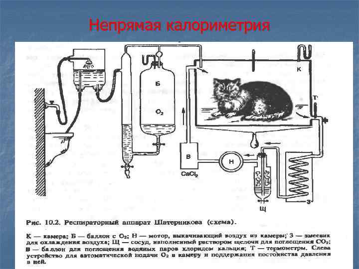 Непрямая калориметрия