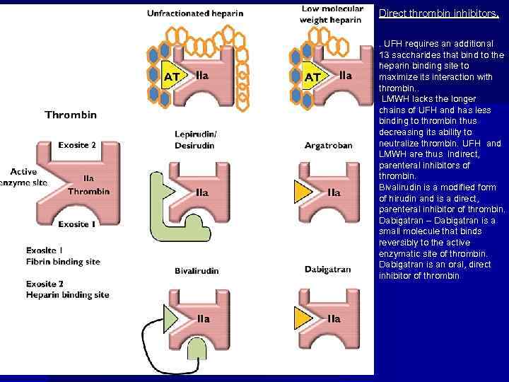 Direct thrombin inhibitors. . UFH requires an additional 13 saccharides that bind to the