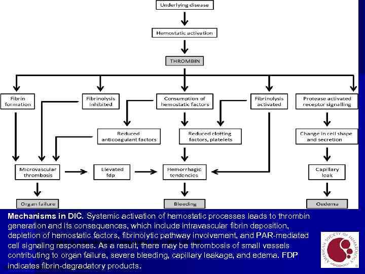 Mechanisms in DIC. Systemic activation of hemostatic processes leads to thrombin generation and its