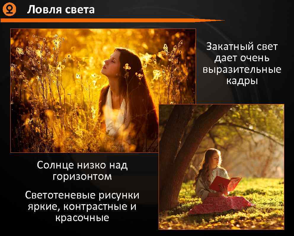 Ловля света Закатный свет дает очень выразительные кадры Солнце низко над горизонтом Светотеневые рисунки