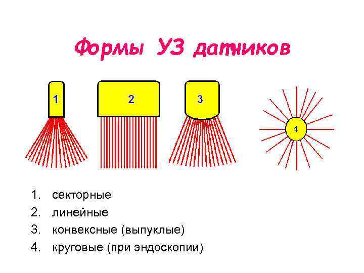 Формы УЗ датчиков 1. 2. 3. 4. секторные линейные конвексные (выпуклые) круговые (при эндоскопии)