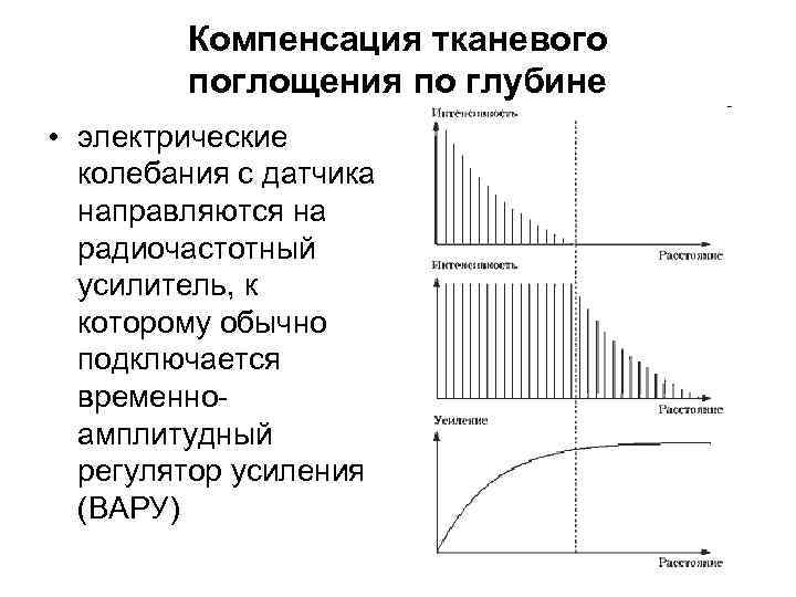 Компенсация тканевого поглощения по глубине • электрические колебания с датчика направляются на радиочастотный усилитель,