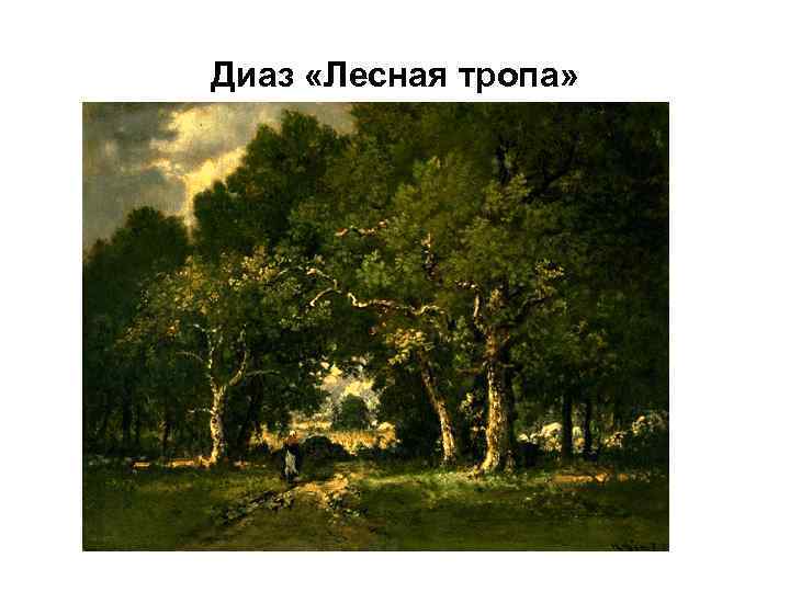 Диаз «Лесная тропа» 
