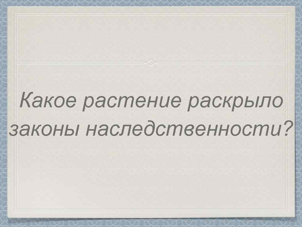 Какое растение раскрыло законы наследственности? 