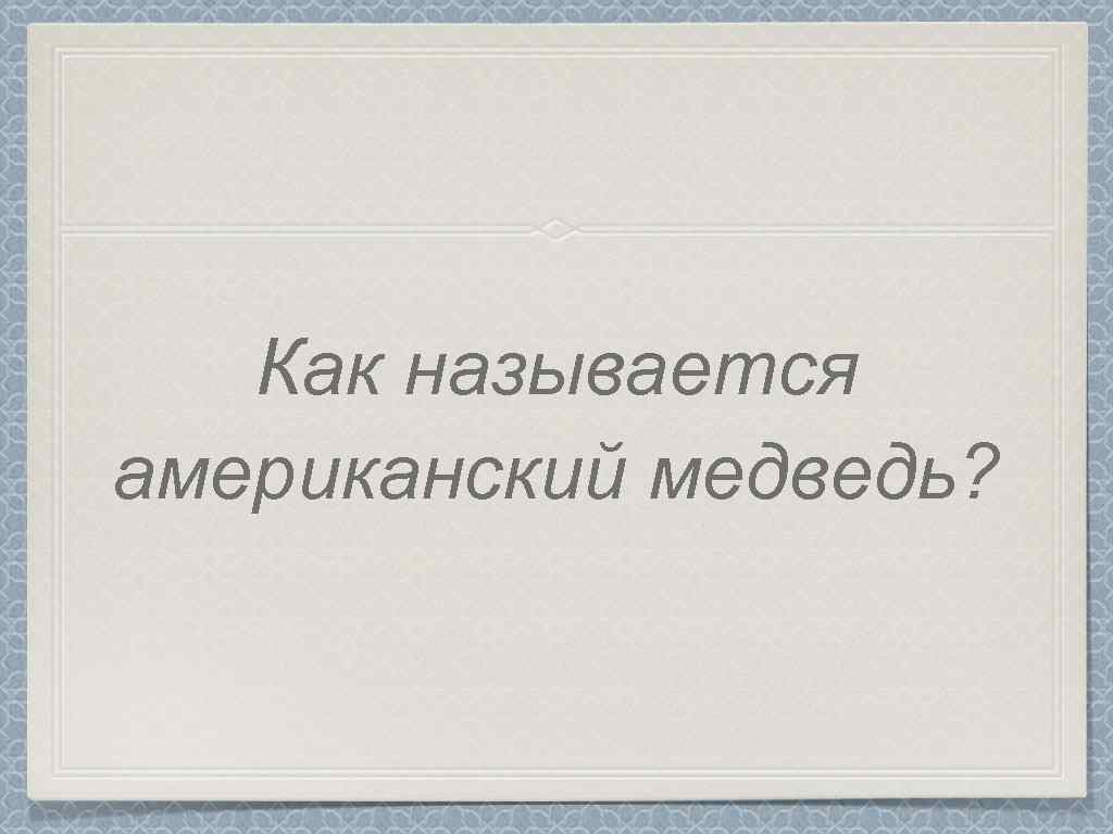 Как называется американский медведь? 