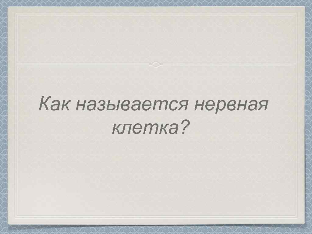 Как называется нервная клетка? 