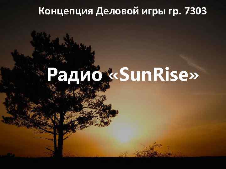 Концепция Деловой игры гр. 7303 Радио «Sun. Rise» 