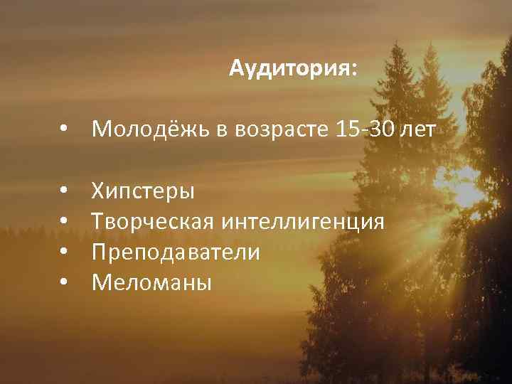 Аудитория: • Молодёжь в возрасте 15 -30 лет • • Хипстеры Творческая интеллигенция Преподаватели