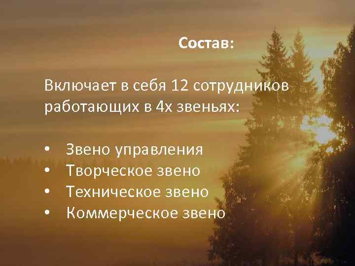 Состав: Включает в себя 12 сотрудников работающих в 4 х звеньях: • • Звено