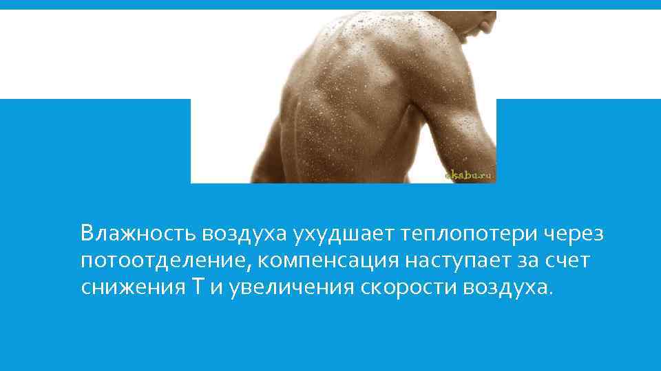  Влажность воздуха ухудшает теплопотери через потоотделение, компенсация наступает за счет снижения Т и