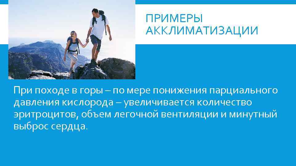 Презентация акклиматизация животных