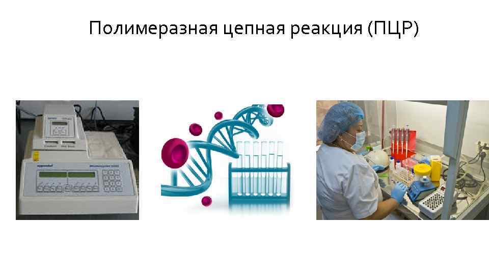 Полимеразная цепная реакция (ПЦР) 