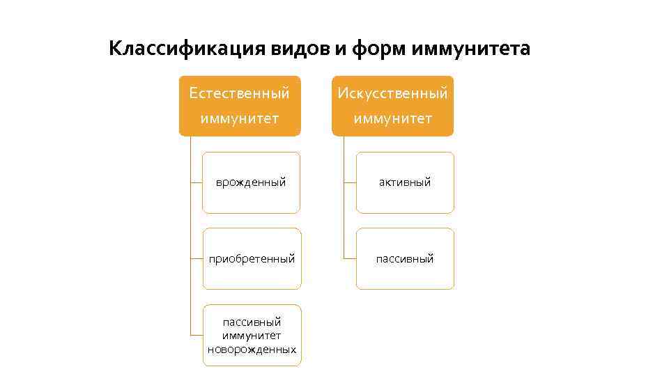 Классификация видов и форм иммунитета схема