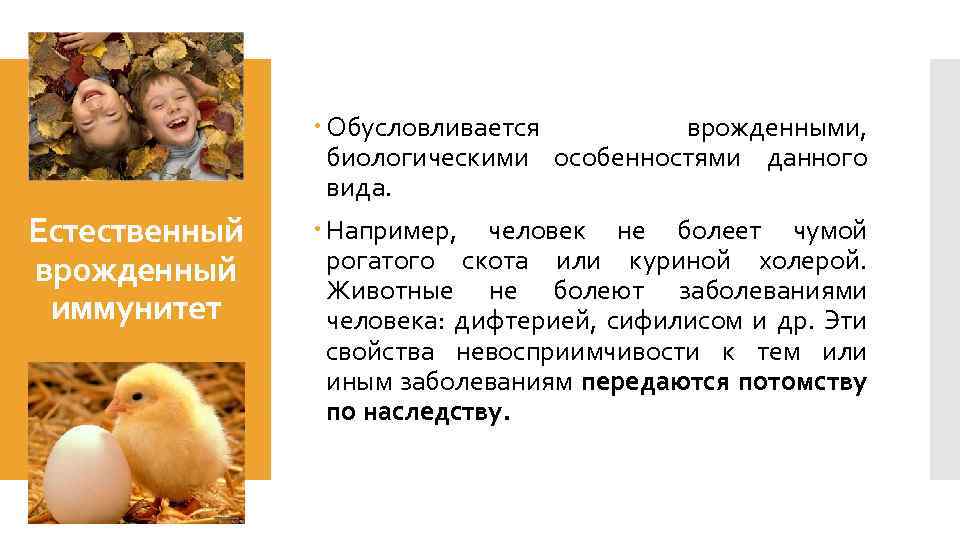 Естественный врожденный иммунитет Обусловливается врожденными, биологическими особенностями данного вида. Например, человек не болеет чумой