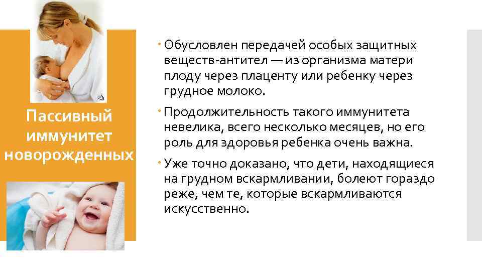 Пассивный иммунитет новорожденных Обусловлен передачей особых защитных веществ-антител — из организма матери плоду через