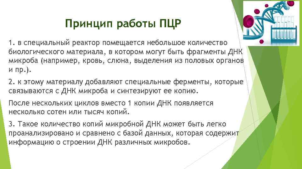 Принцип работы ПЦР 1. в специальный реактор помещается небольшое количество биологического материала, в котором