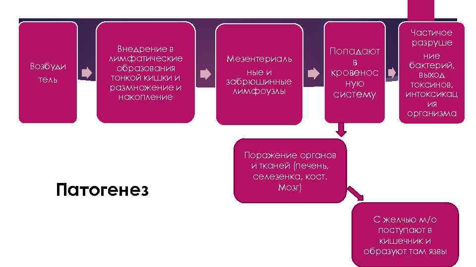 Возбуди тель Внедрение в лимфатические образования тонкой кишки и размножение и накопление Патогенез Мезентериаль