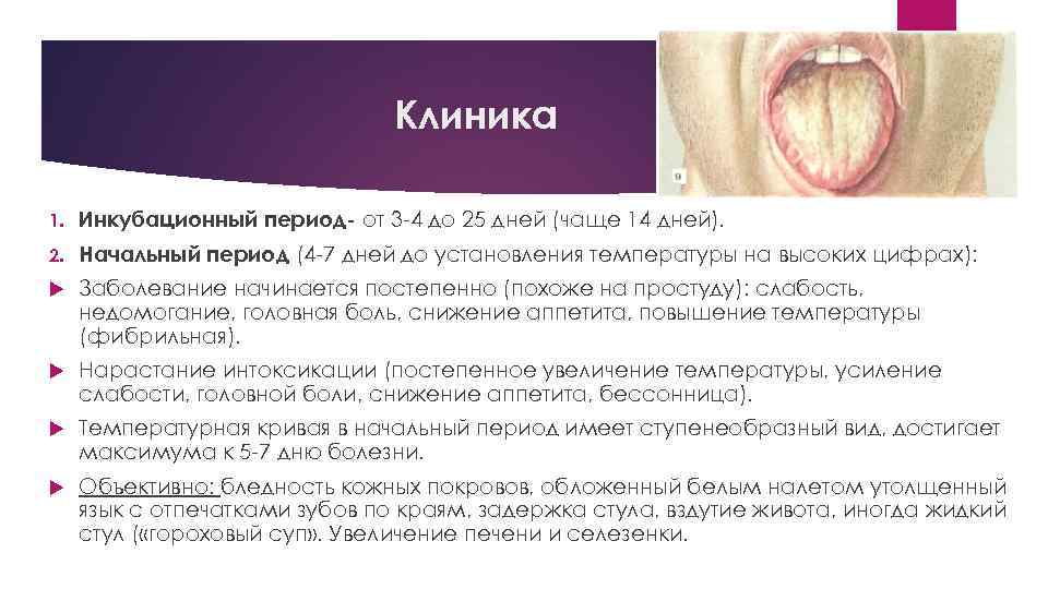 Клиника 1. Инкубационный период- от 3 -4 до 25 дней (чаще 14 дней). 2.