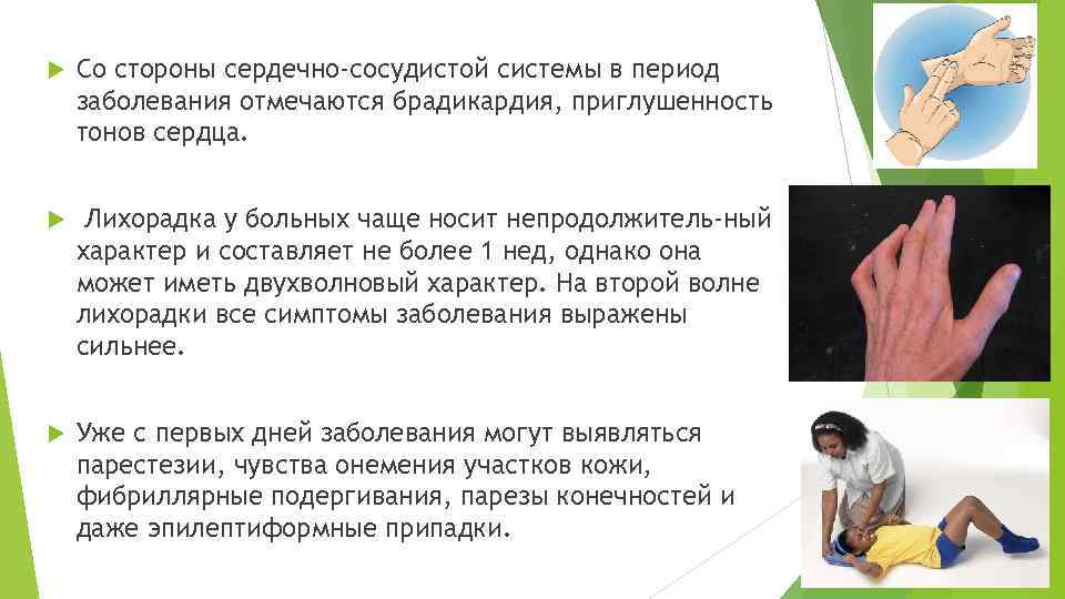  Со стороны сердечно-сосудистой системы в период заболевания отмечаются брадикардия, приглушенность тонов сердца. Лихорадка