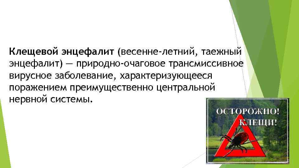 Клещевой энцефалит (весенне-летний, таежный энцефалит) — природно-очаговое трансмиссивное вирусное заболевание, характеризующееся поражением преимущественно центральной