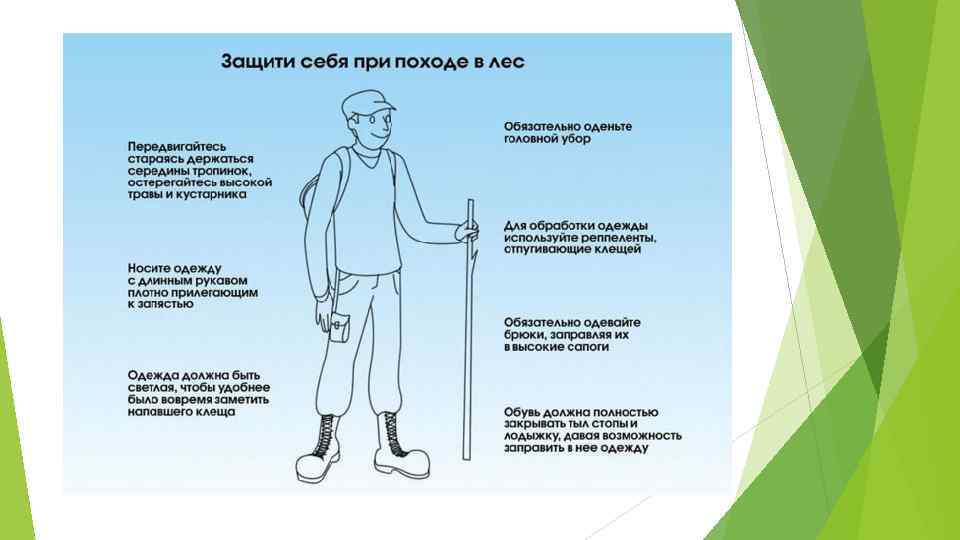 Клещевой энцефалит карта вызова скорой медицинской помощи