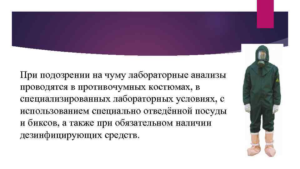 При подозрении на чуму лабораторные анализы проводятся в противочумных костюмах, в специализированных лабораторных условиях,