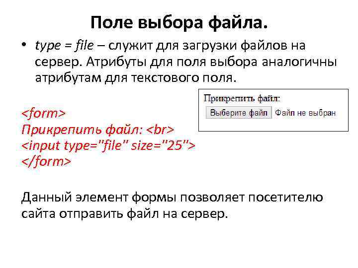 Поле выбора файла. • type = file – служит для загрузки файлов на сервер.