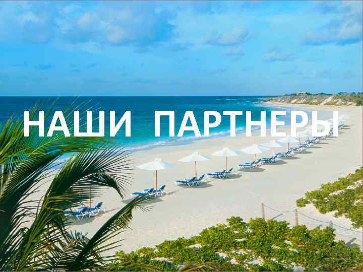 НАШИ ПАРТНЕРЫ 